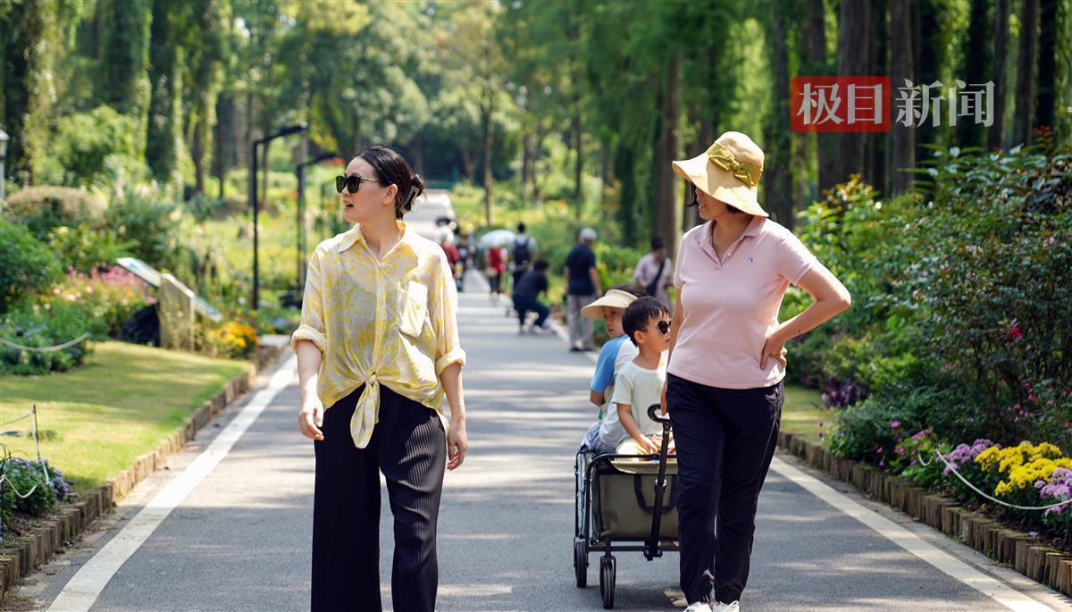 cc国际网投